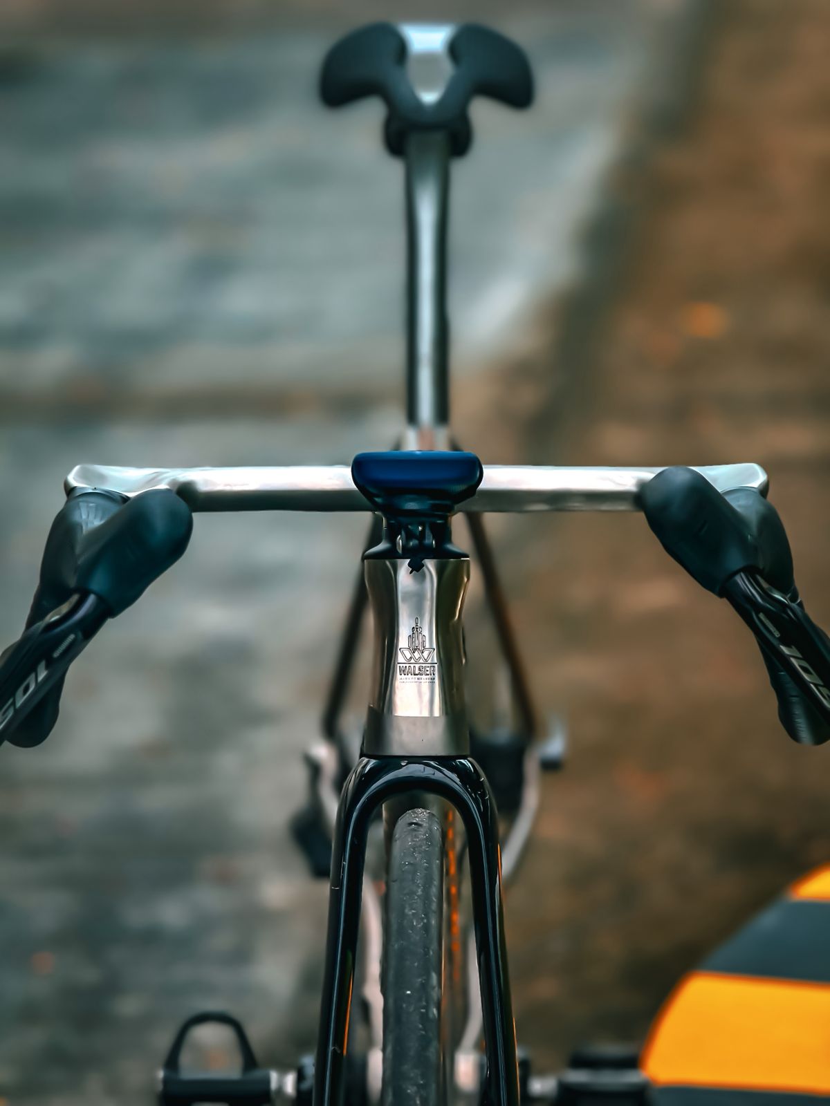 Walser Posture Assistance Bars - Bespoke Custom
