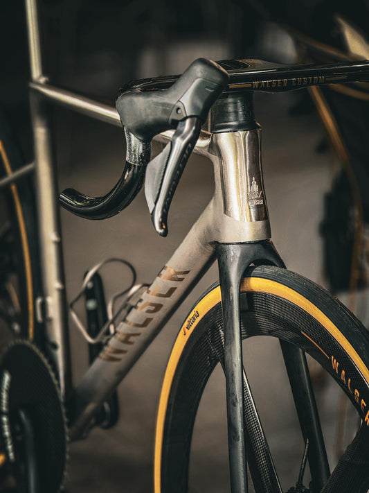 Gen 4 Walser 3D printed Bike Frame - Bespoke Custom
